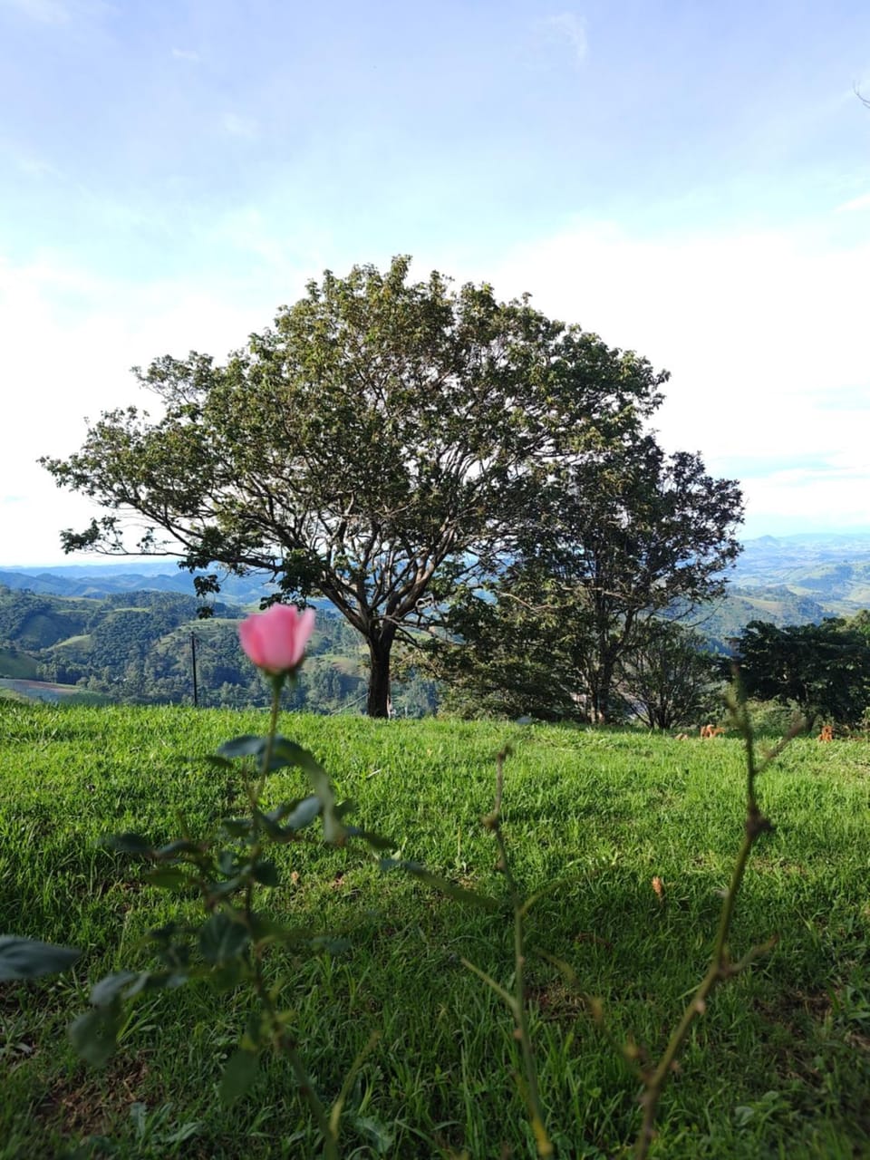 Natural landscape