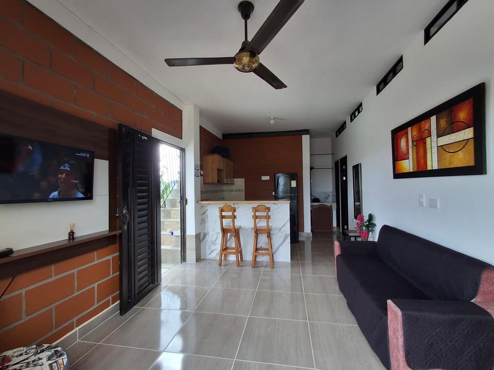 Living room, kitchen
