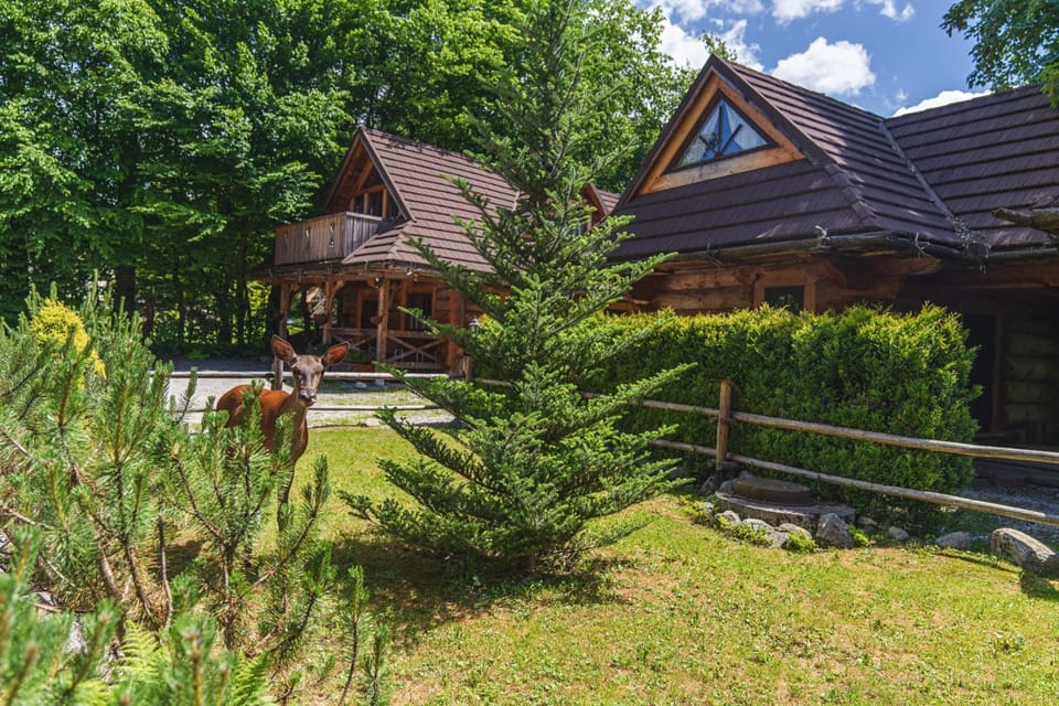 Property building, Natural landscape, Garden