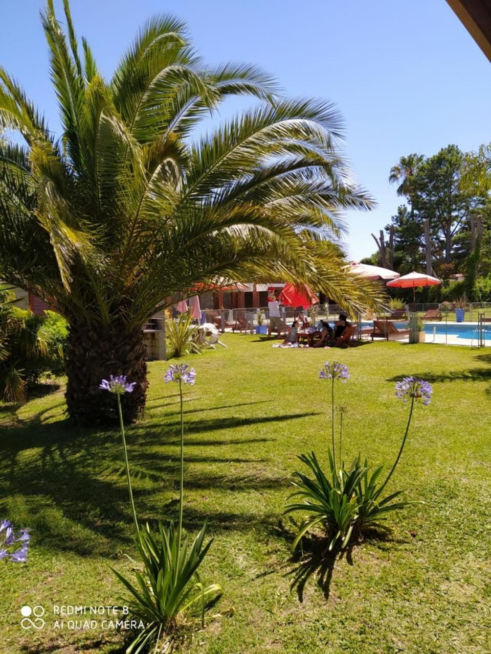 Mediterráneo Cabañas Apartment hotel in Chascomús