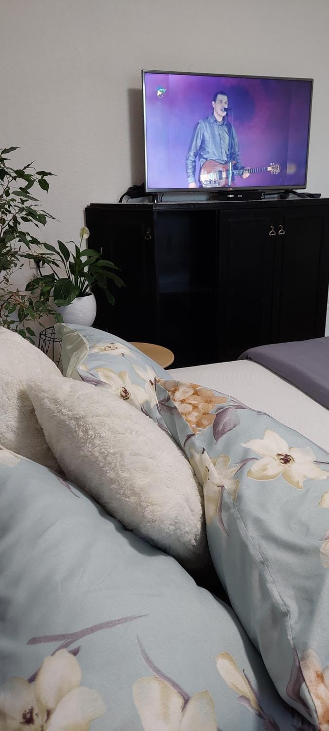 Link Kauno marių... Apartment in Lithuania