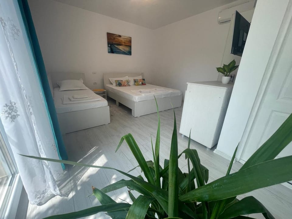Casa AnaMaria Vacation rental in Constanța County