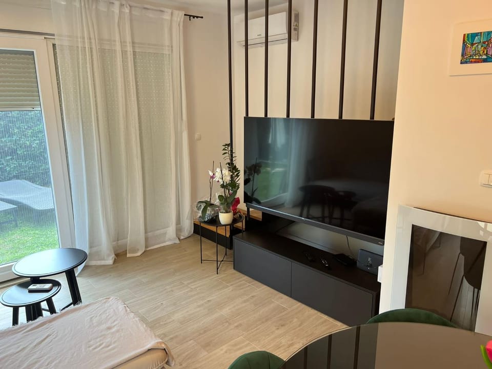 TV and multimedia, Living room