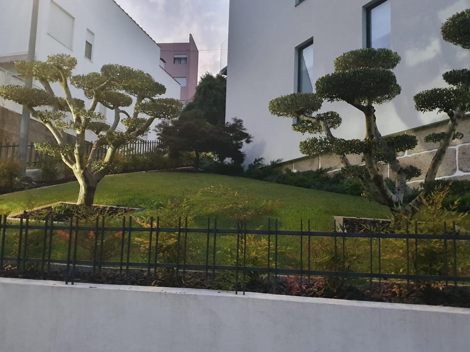 PIMENTA FOUR HOUSE Apartment in Porto District