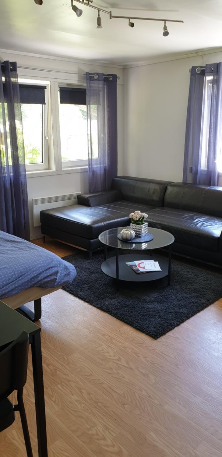 Dalen studio 3 Apartment in Viken, Norway