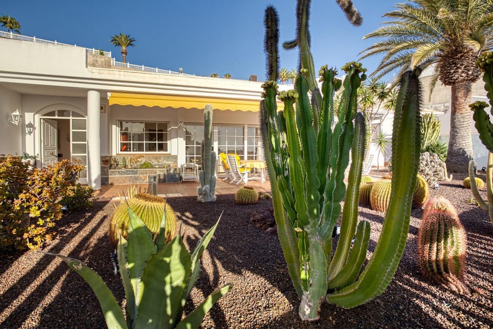 Property building, Day, Garden, Garden view