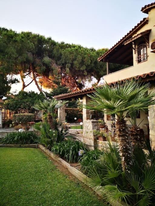 Property building, Garden