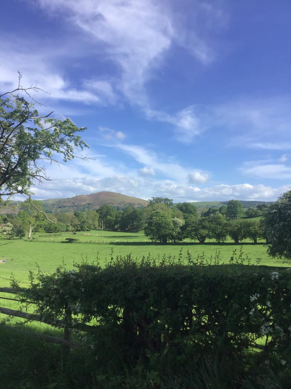Spring, Day, Natural landscape, Mountain view