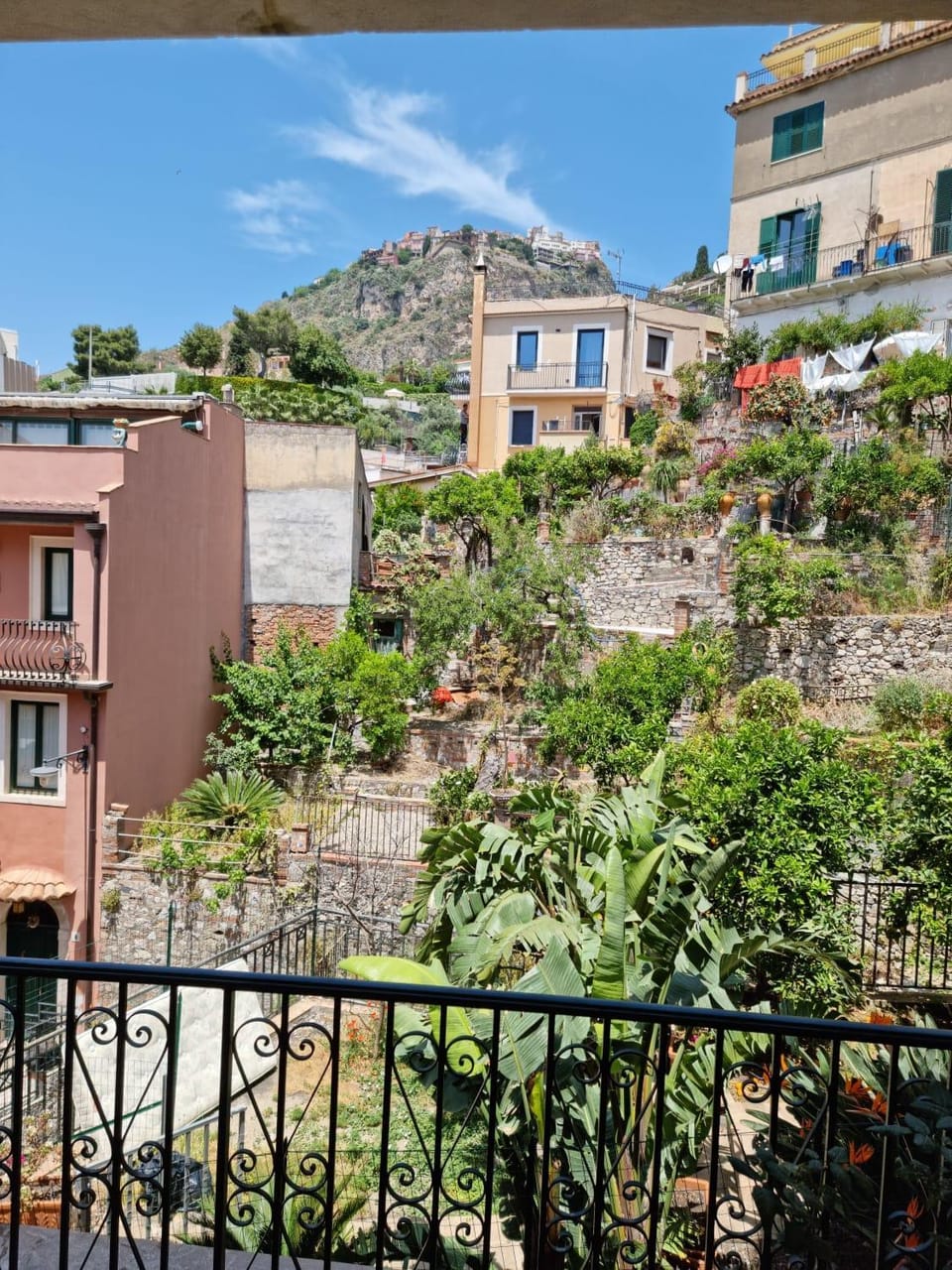 Garden view