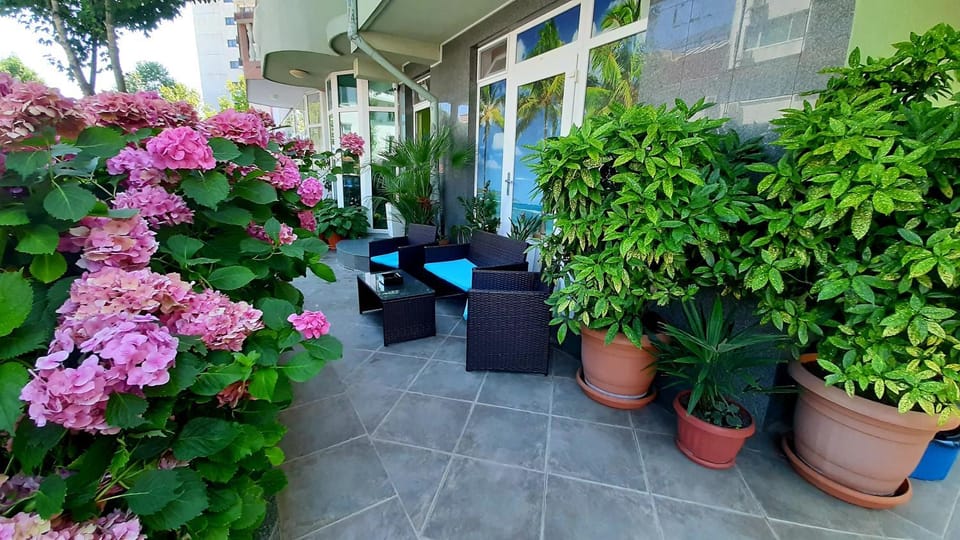 Property building, Day, Garden, Garden view