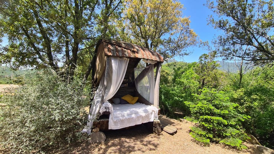 La roulotte au coeur du maquis Nature lodge in Corsica