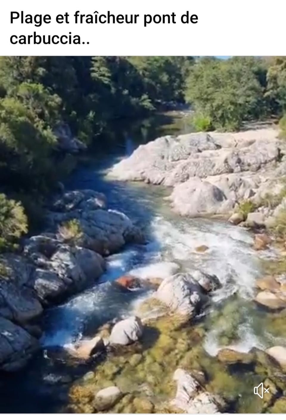 La roulotte au coeur du maquis Nature lodge in Corsica