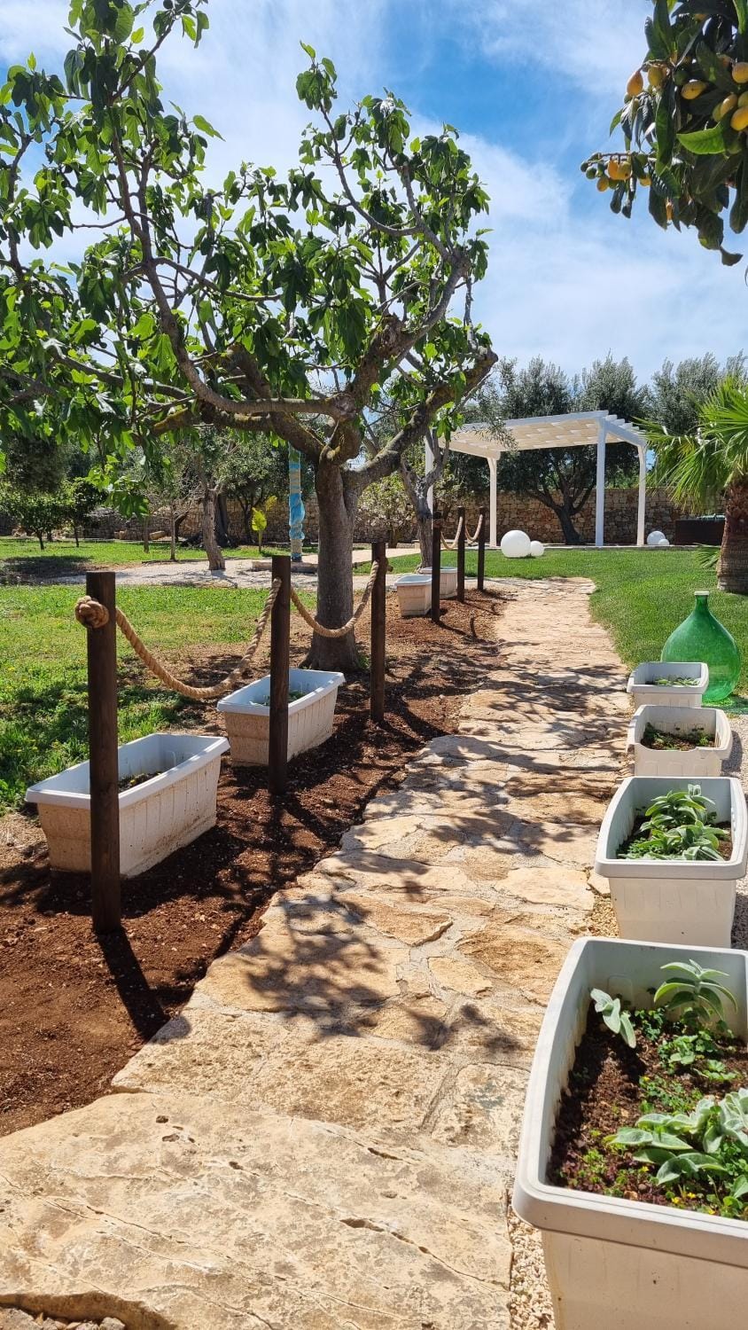 Garden, Garden view