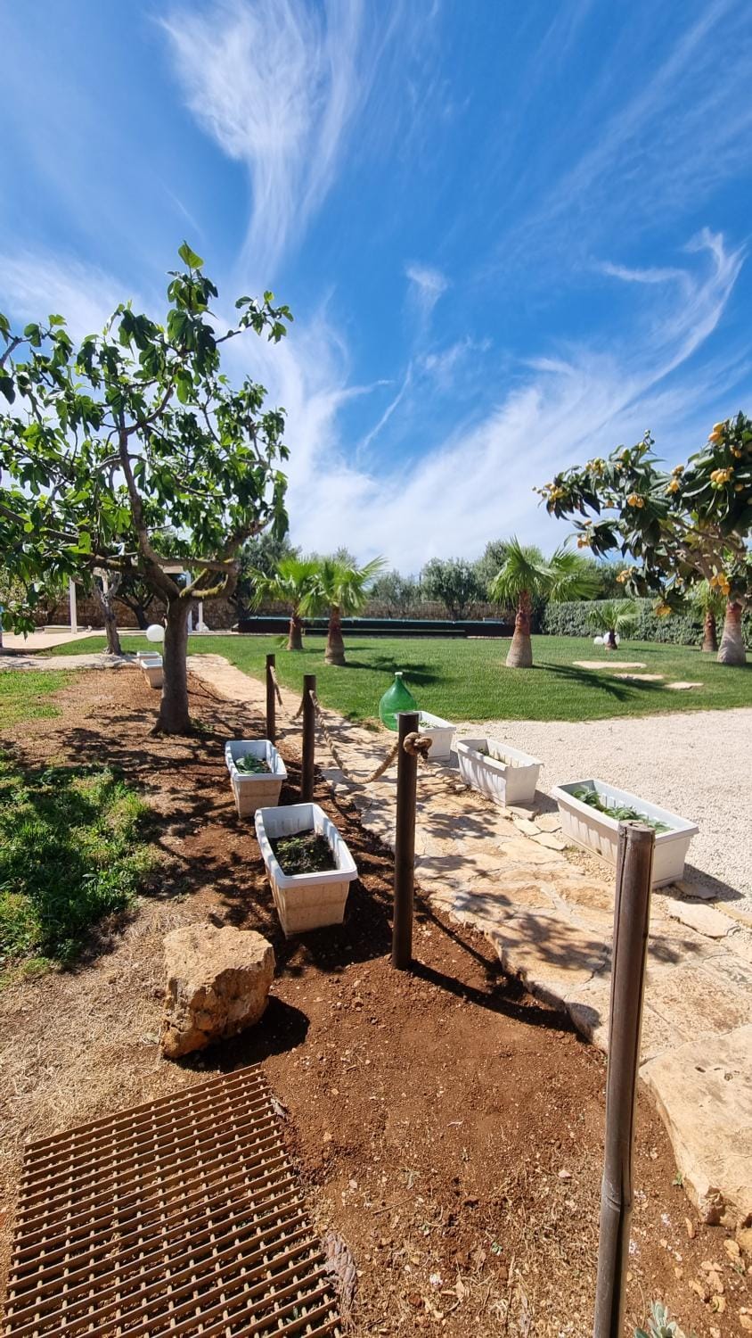 Garden, Garden view