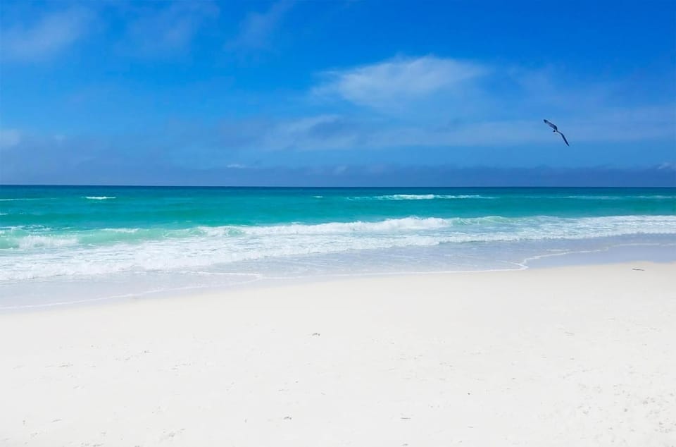 Emerald Beach 1033 House in Panama City Beach