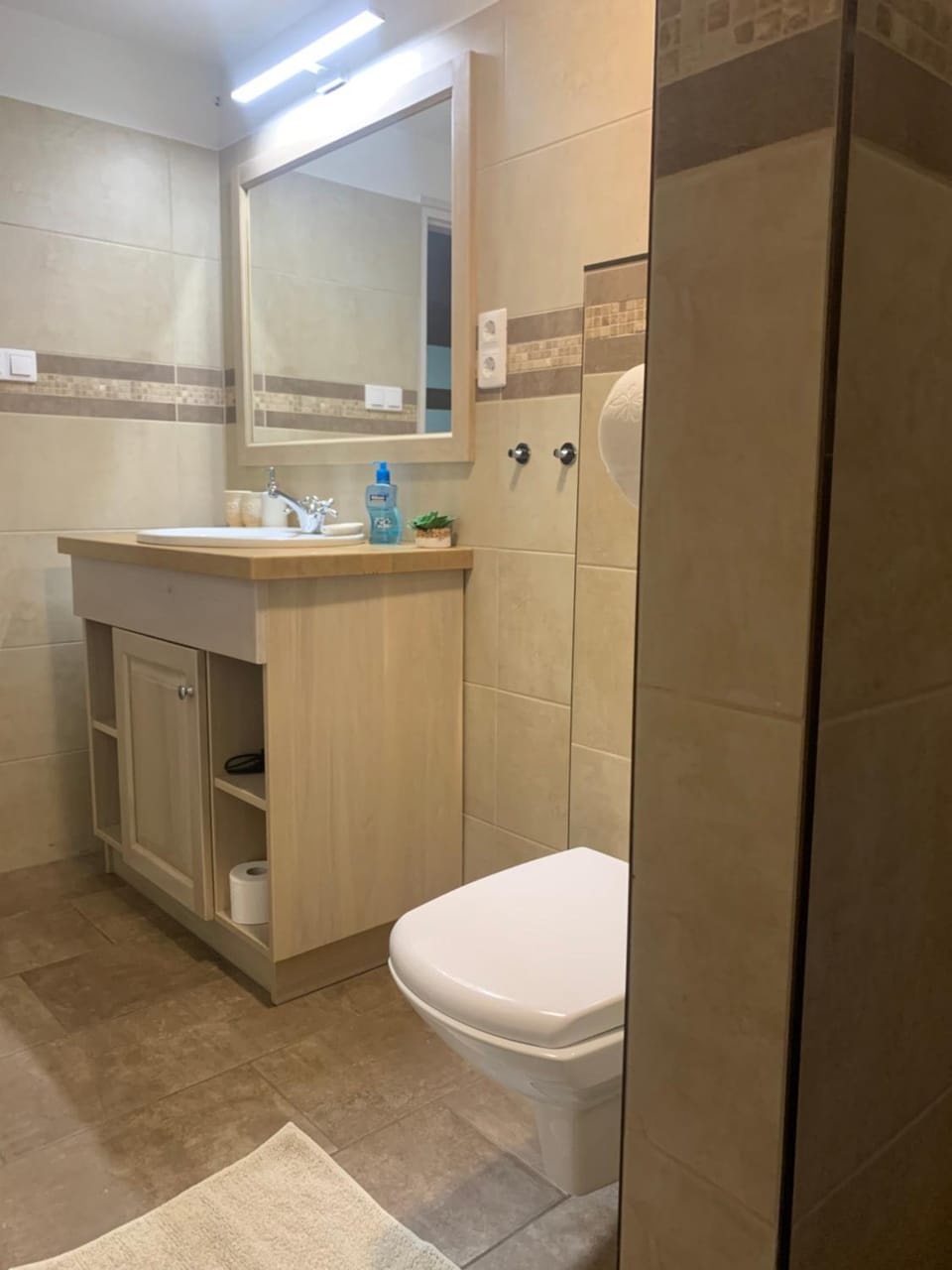 Toilet, Bathroom