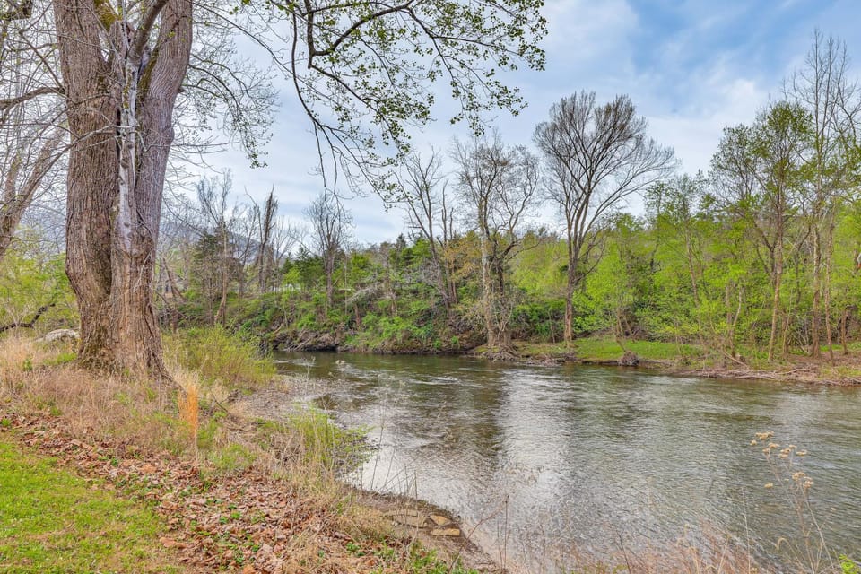Fire Pit + Patio: Creekside Cabin in Eagle Rock! Cabin in Shenandoah Valley