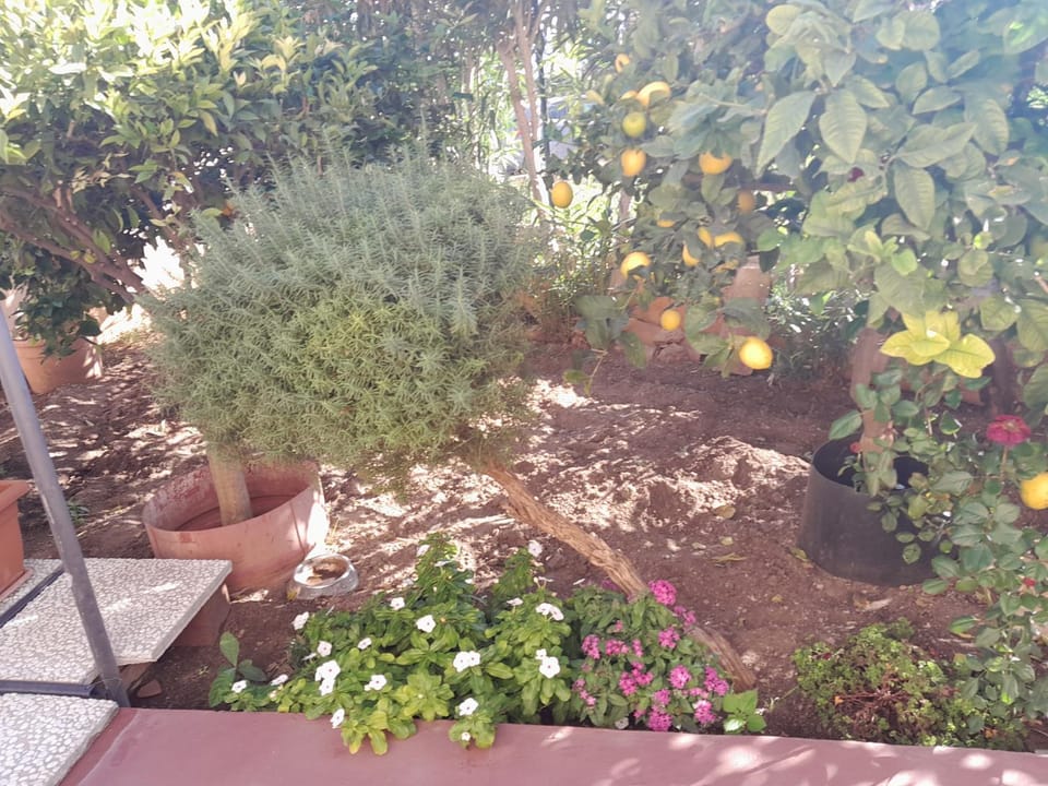 Lumera House in Sicily