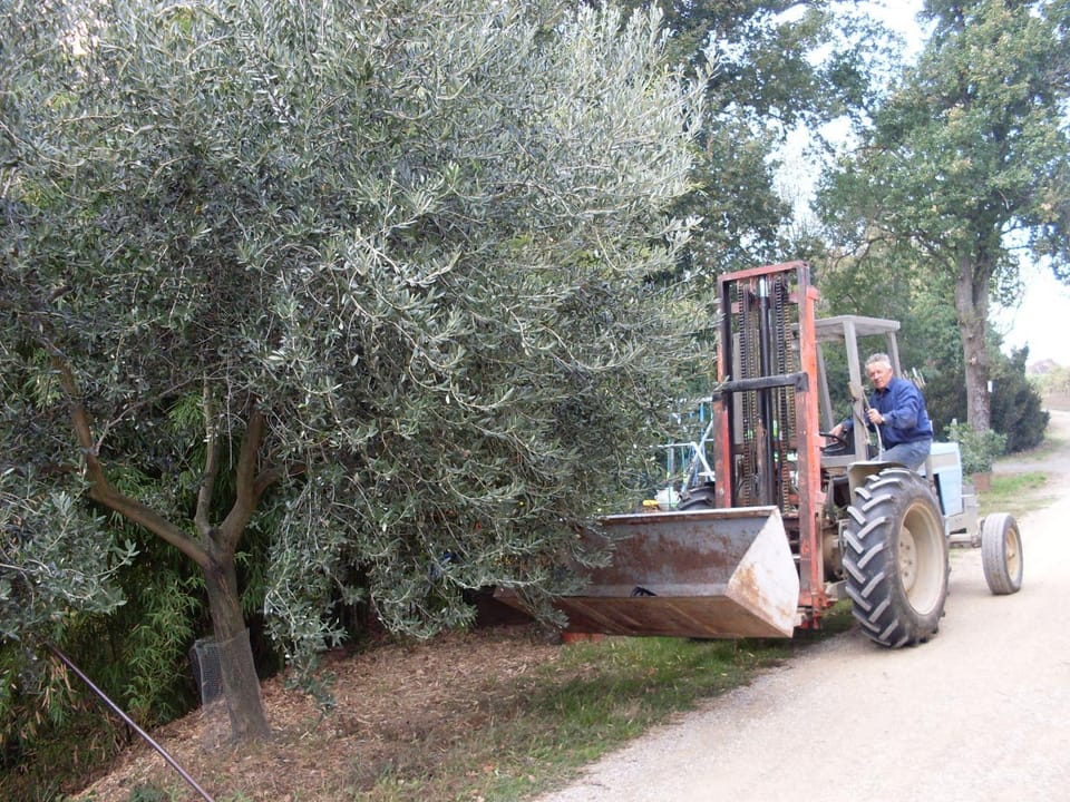 Agriturismo La Marletta Farm Stay in Imola