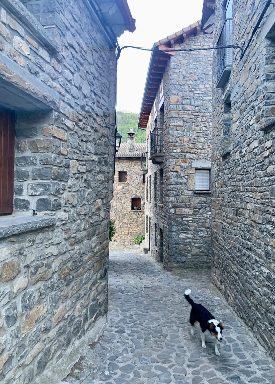 Neighbourhood