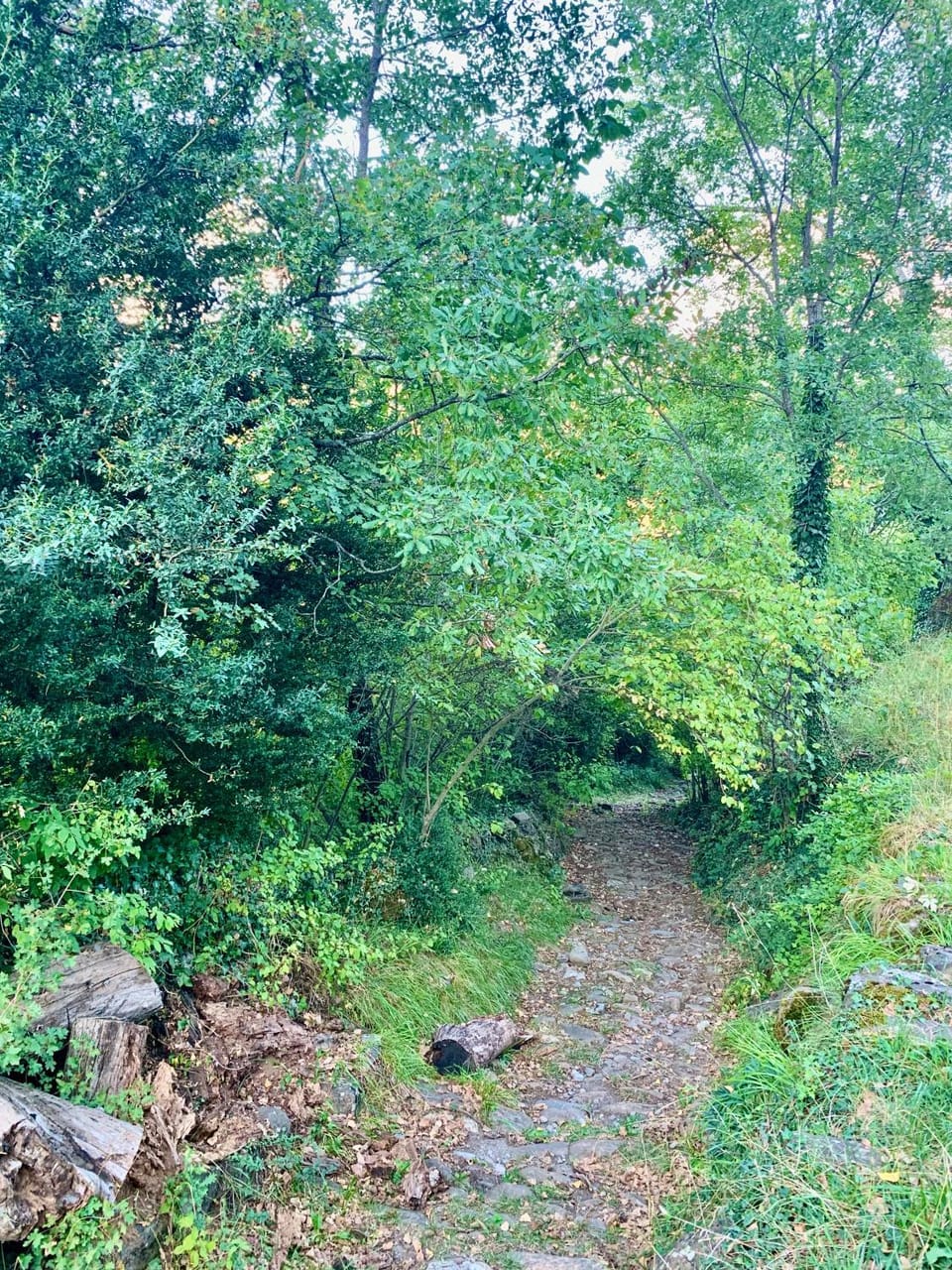 Natural landscape