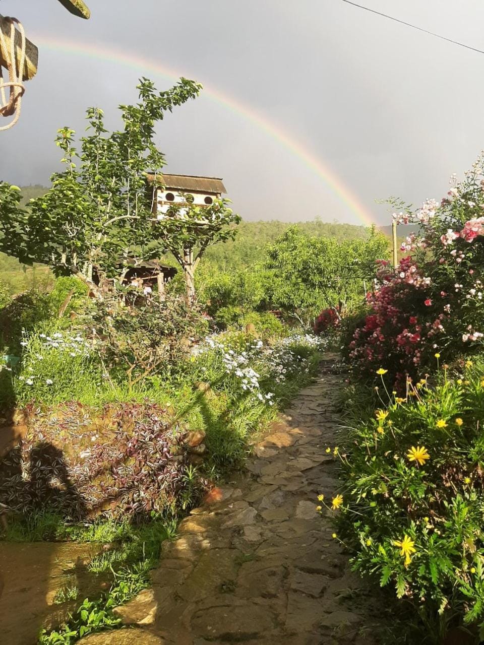 Garden, Garden