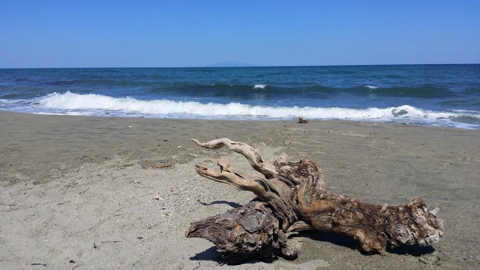 Natural landscape, Beach