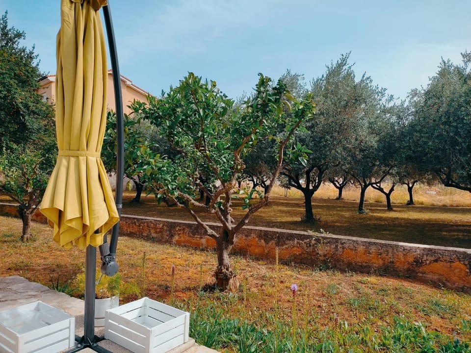 VERAMARE Apartment in Medulin