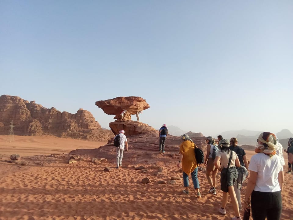 Nearby landmark, Natural landscape, Garden, Animals, Mountain view, group of guests