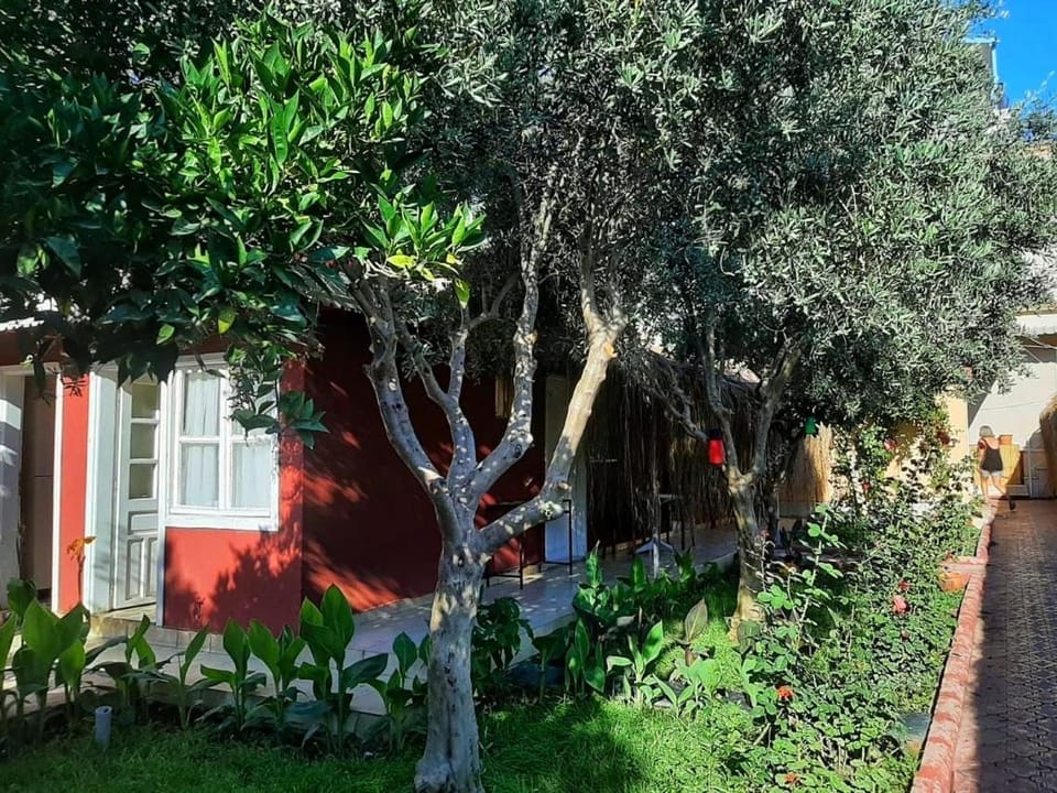 MoY-Side Hotel in Side