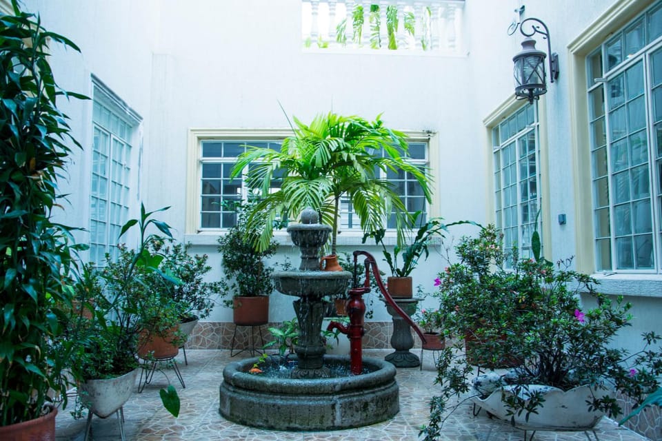 Garden view