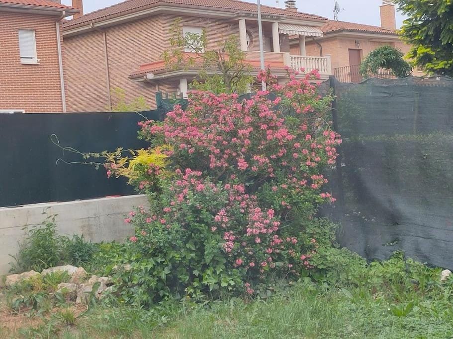 Casa amplia y luminosa cerca de Pamplona - Izarren Etxea House in Navarre