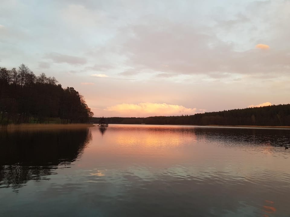 Lake view