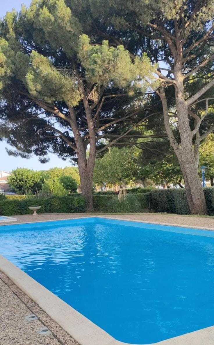 Studio Andernos vue Bassin port ostréicole charmant et lumineux avec piscine et balcon ! Apartment in Andernos-les-Bains