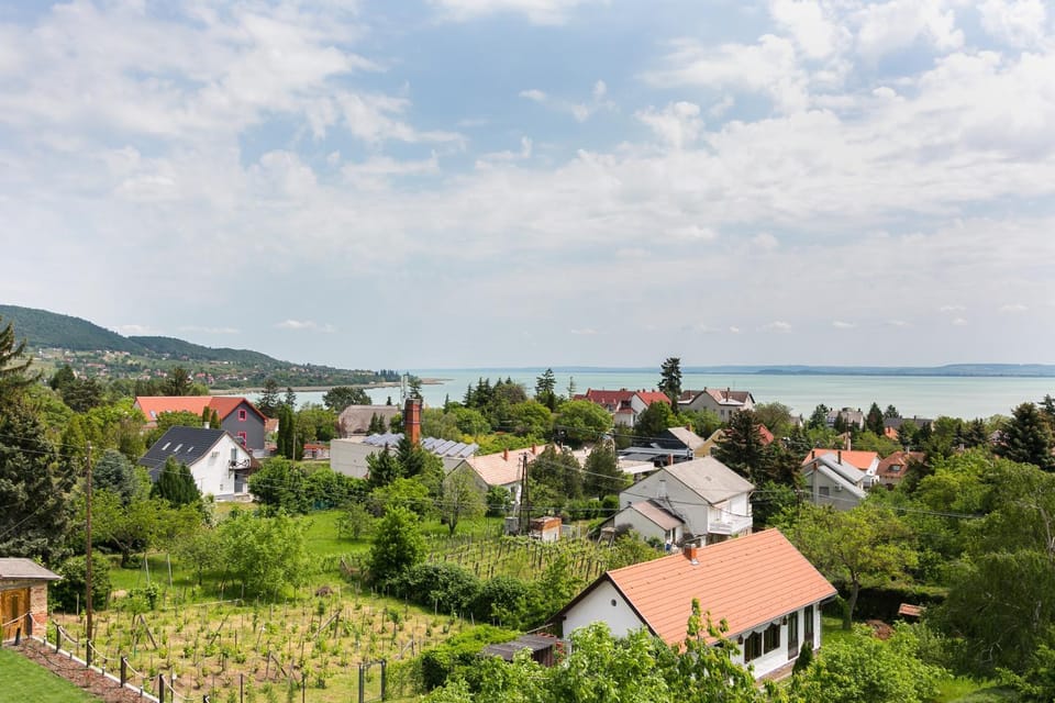 Lake view