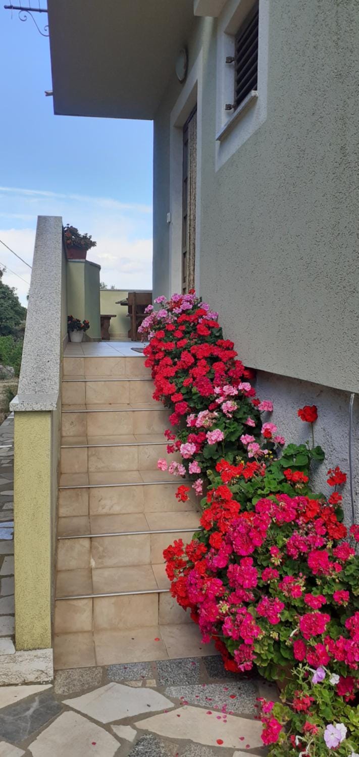 Kelk Loznati Apartment in Cres