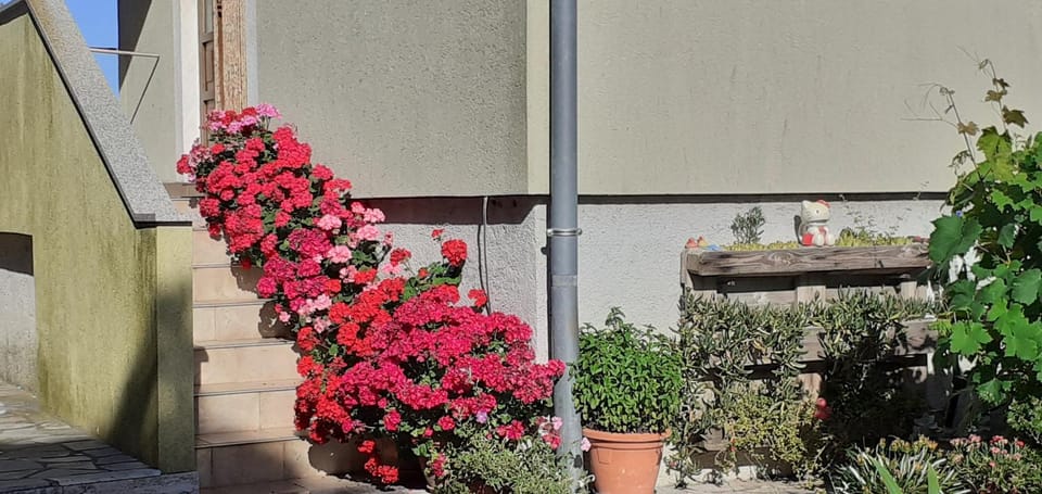 Kelk Loznati Apartment in Cres