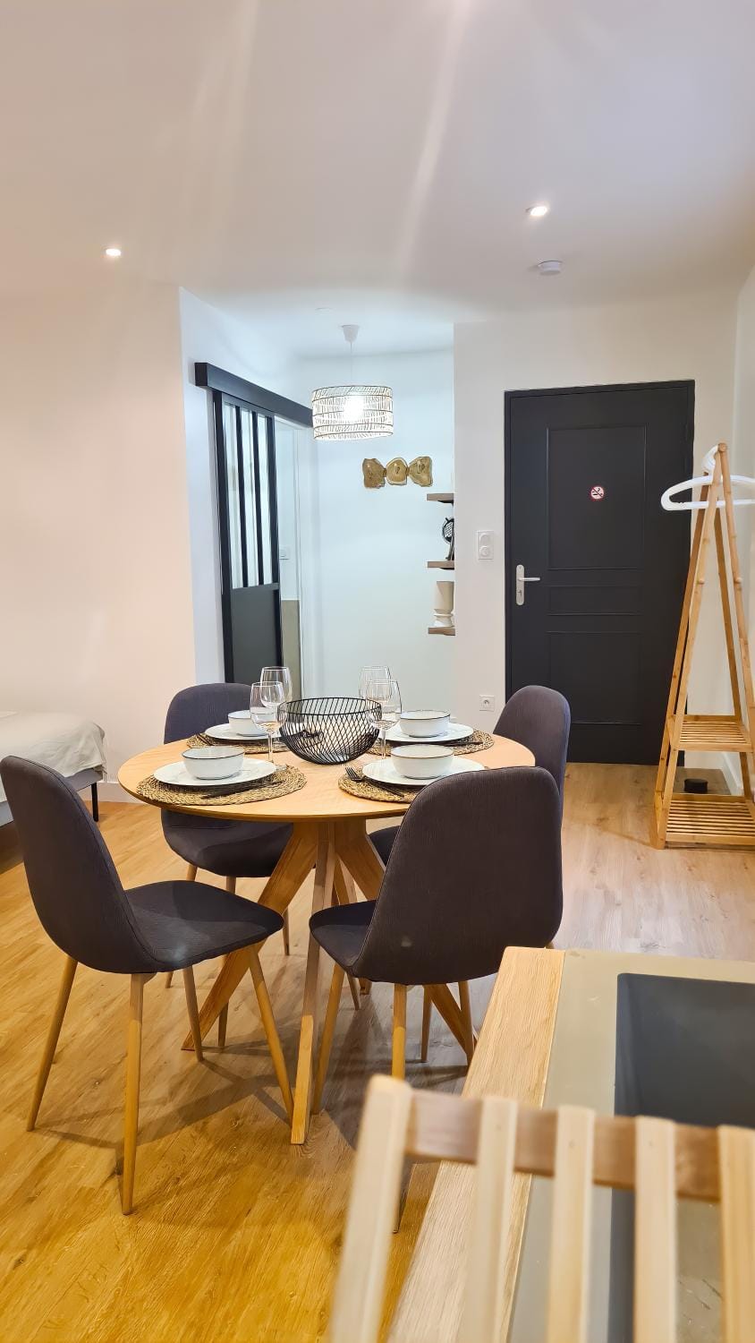 Magnifique appartement rénové plein centre-ville Apartment in Marmande