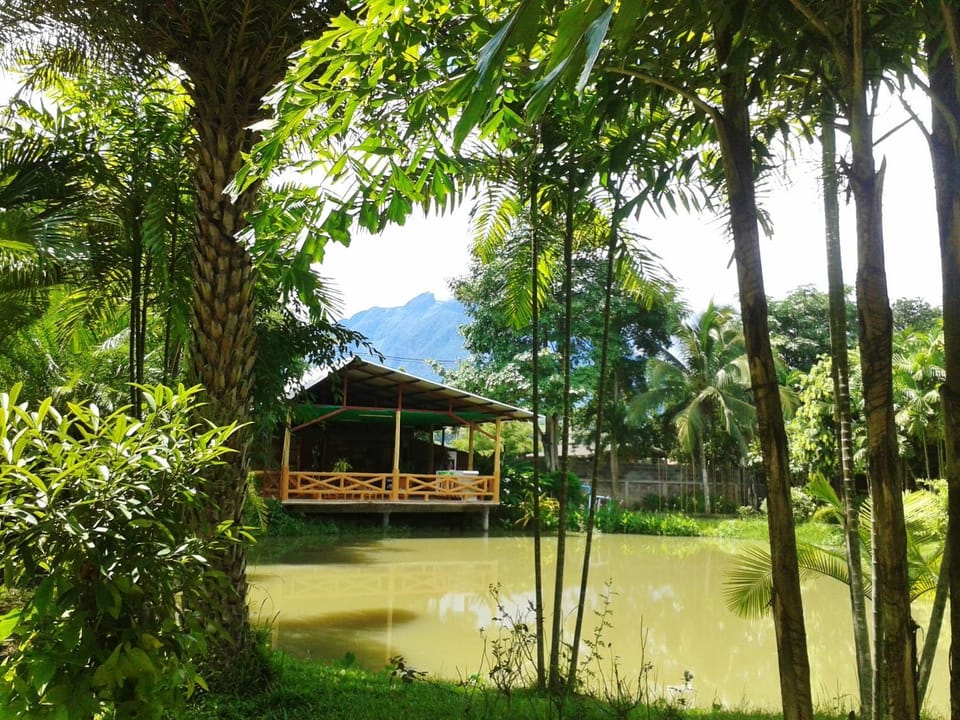 Restaurant/places to eat, View (from property/room)