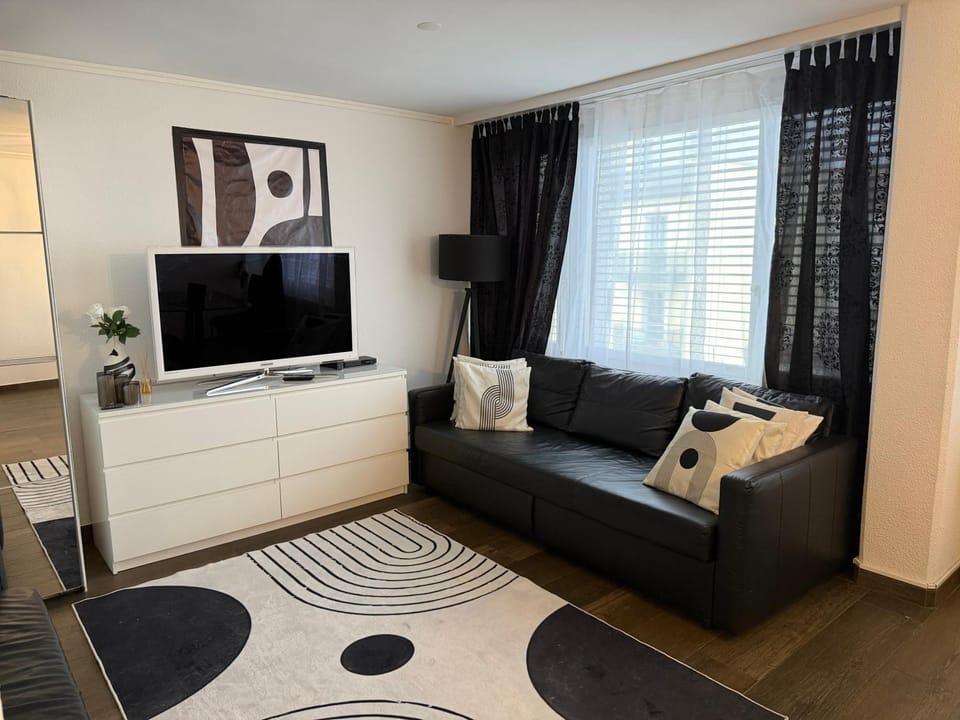 Executive Suite-Business Edition Apartment in Zurich City