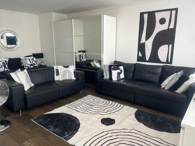 Executive Suite-Business Edition Apartment in Zurich City