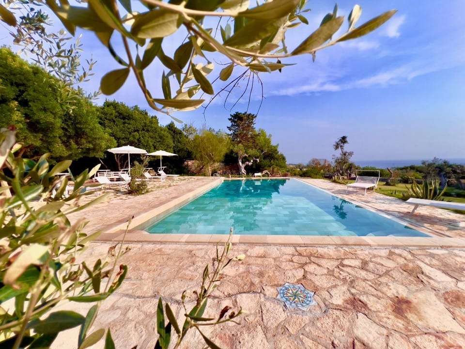 Natural landscape, Garden, Garden view, Pool view, Swimming pool
