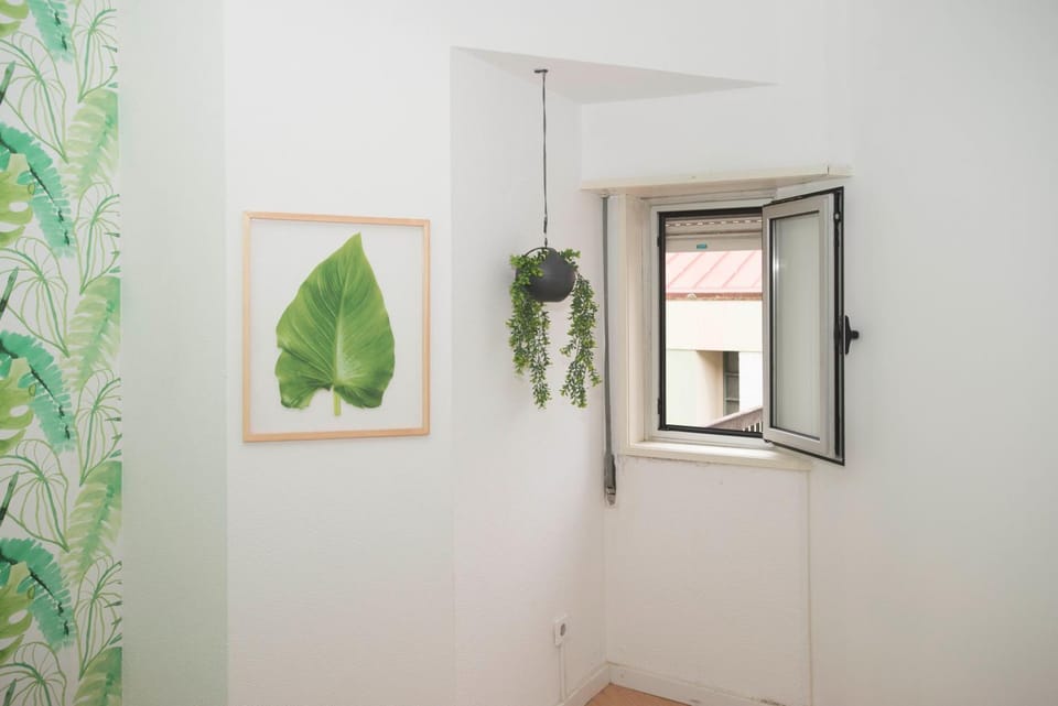 Travel & Live Marques Hostel in Porto