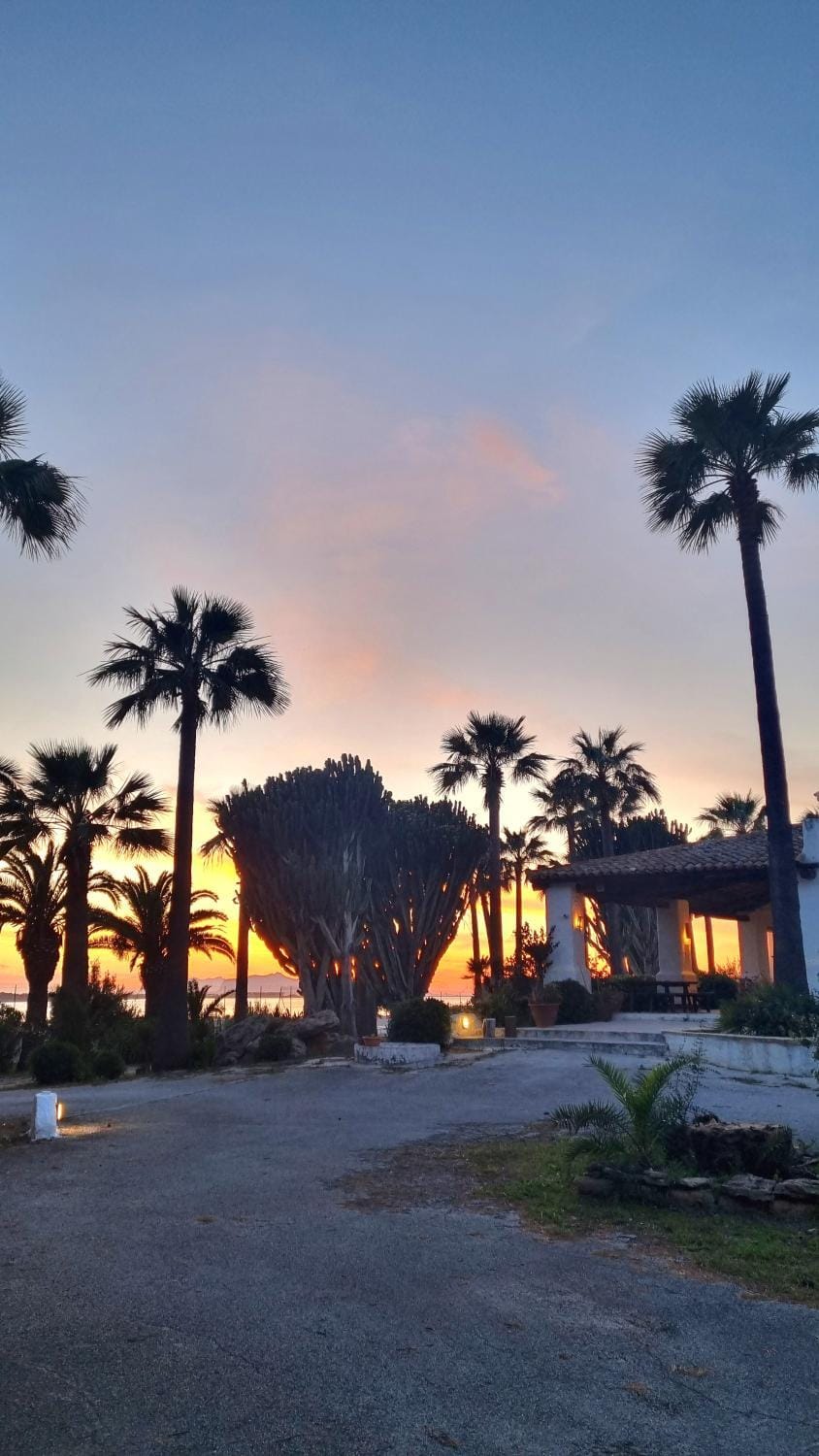 Garden view, Sunset