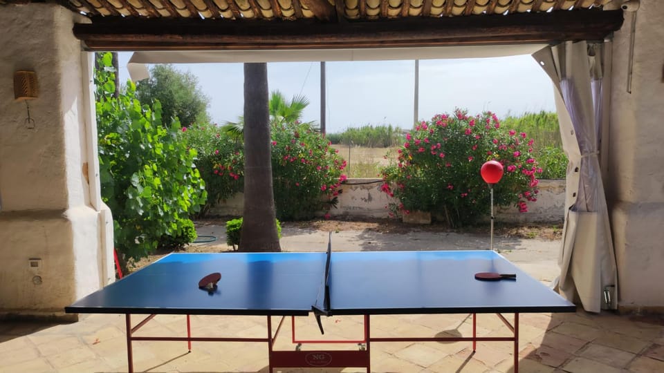 Patio, Game Room, Table tennis