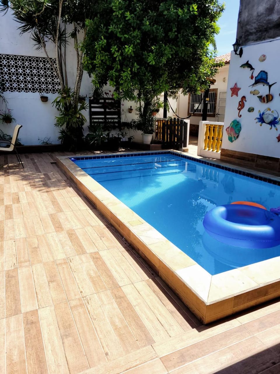 Day, Pool view, Swimming pool