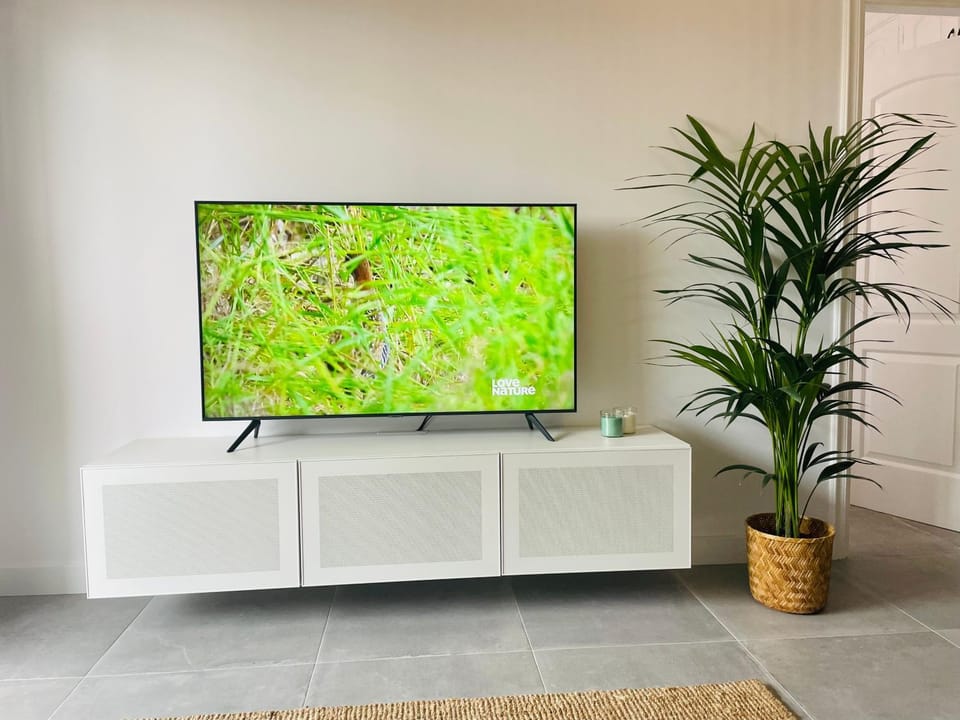 Communal lounge/ TV room, TV and multimedia
