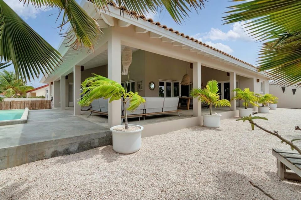 Kas Simba in Belnem Villa in Venezuela