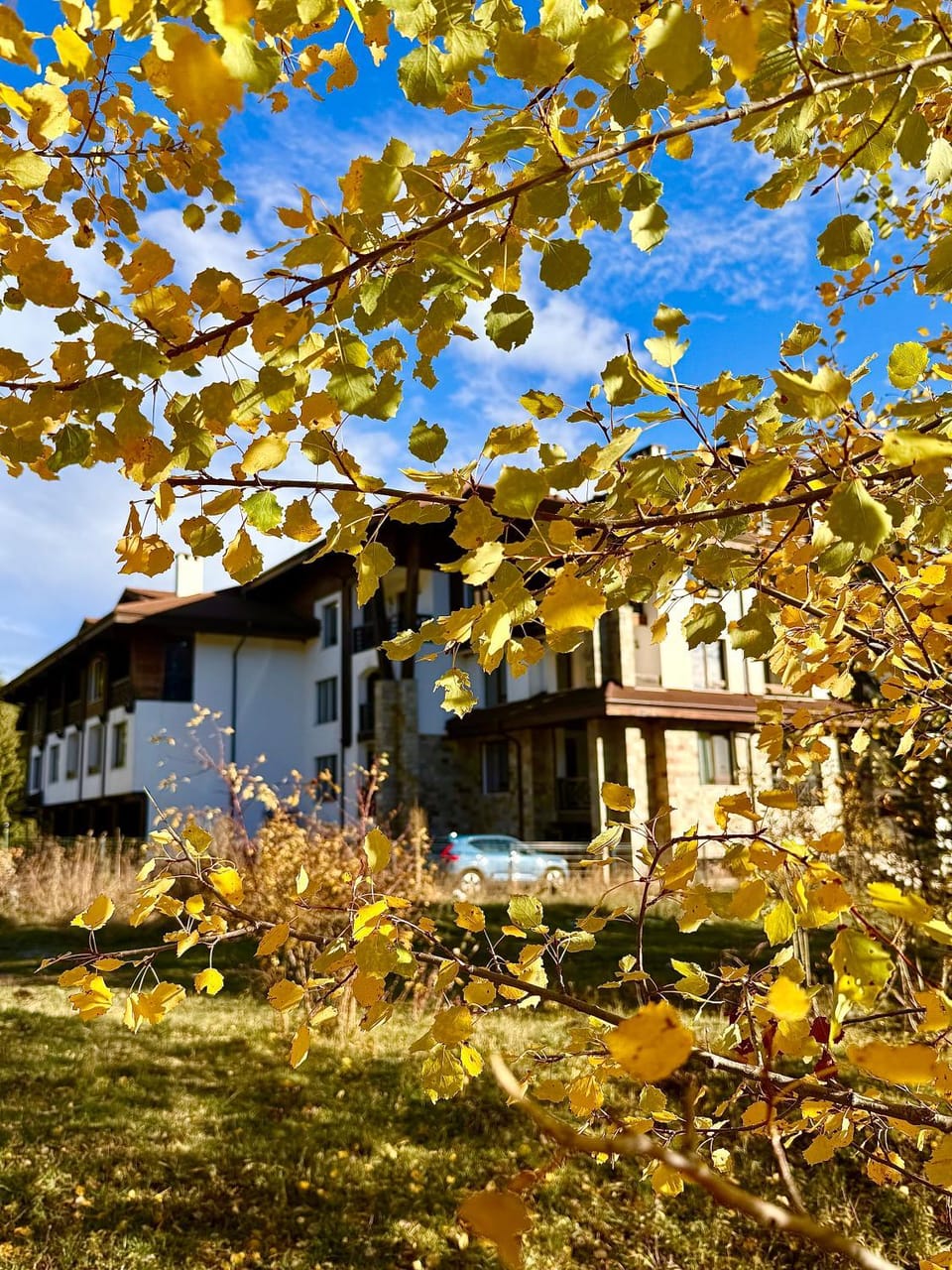Property building, Day, Autumn, Garden view
