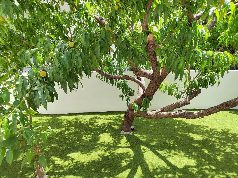 Callisto Apartment in Chania
